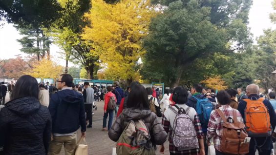 日本 上野公園 銀杏