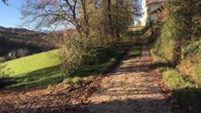 a little gift in Autumn!