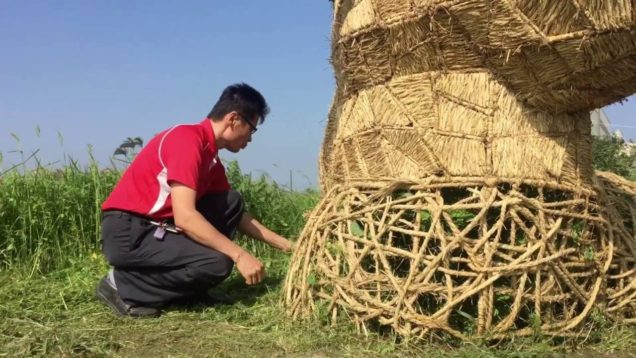 桃園花彩節大園 proview s3 iphone6