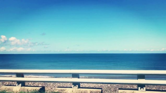 Life story in this summer