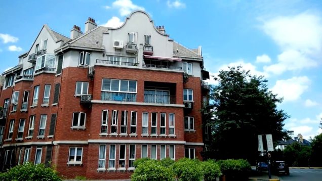 ProVeiw S3 Mask365單車日記(上海)